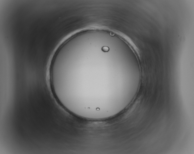 X0000102411335200808011008