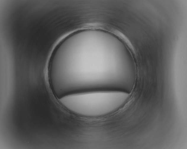 X0000102411336200808011008