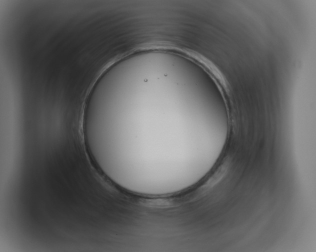 X0000102411337200808011008