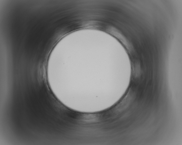 X0000102411338200808011008