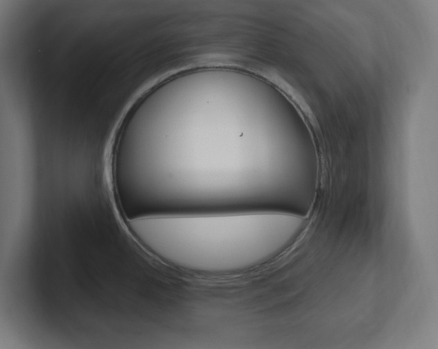 X0000102411342200808011008