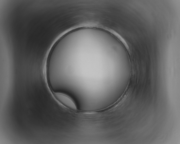 X0000102411343200808011008