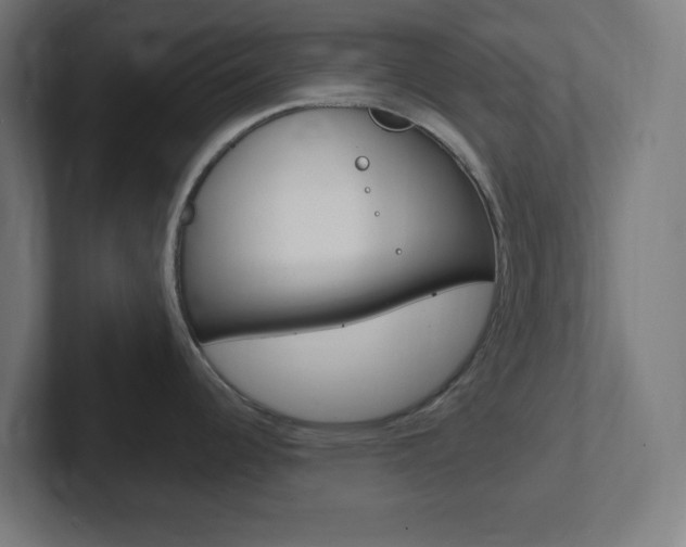 X0000102411344200808011008
