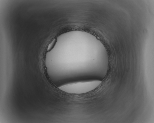 X0000102411345200808011008