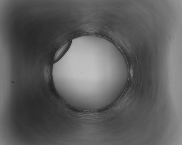 X0000102411347200808011008