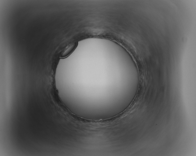 X0000102411349200808011008