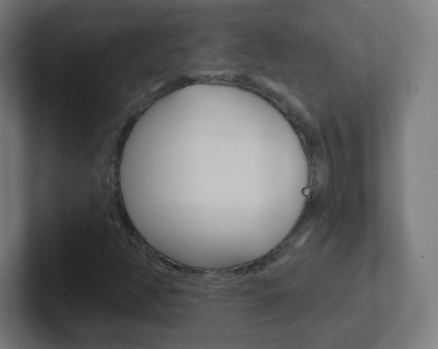 X0000102411350200808011008