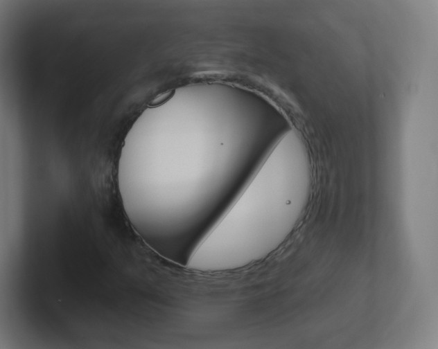 X0000102411351200808011008