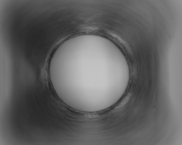 X0000102411354200808011008