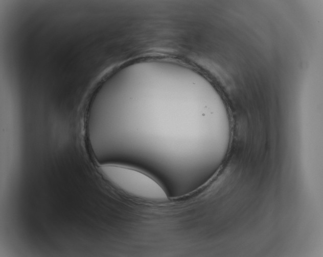 X0000102411355200808011008