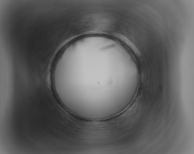 X0000102411356200808011007