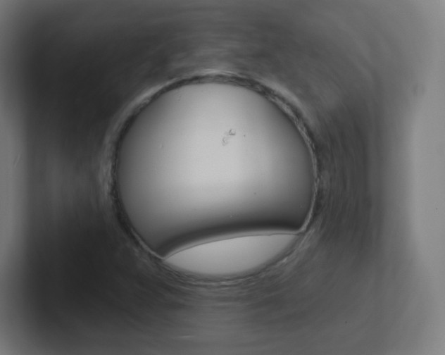 X0000102411359200808011007