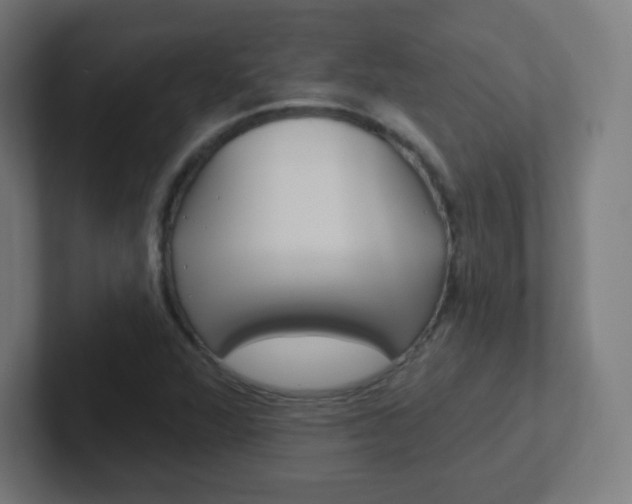 X0000102411360200808011007
