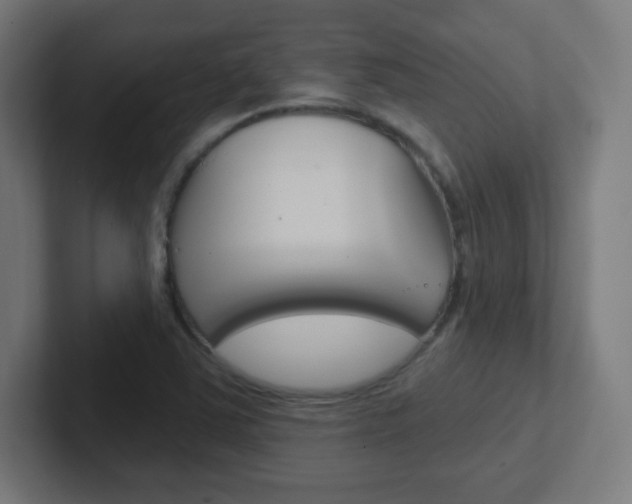X0000102411363200808011007