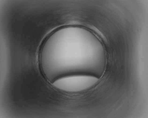 X0000102411364200808011007