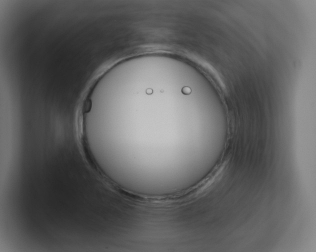 X0000102411365200808011007