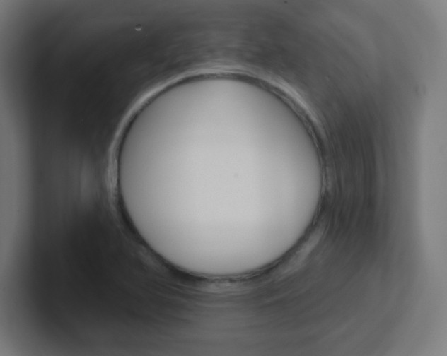 X0000102411366200808011007