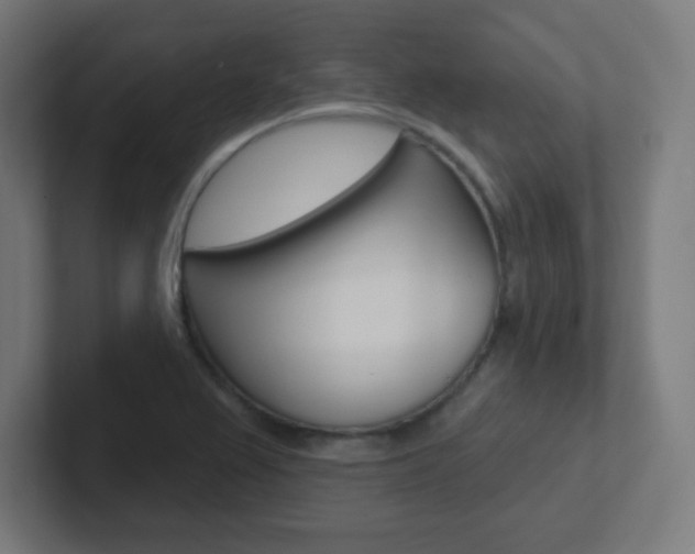 X0000102411367200808011007