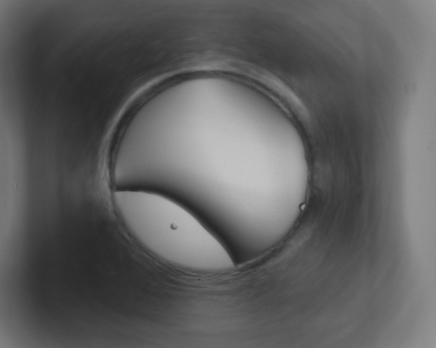 X0000102411368200808011007