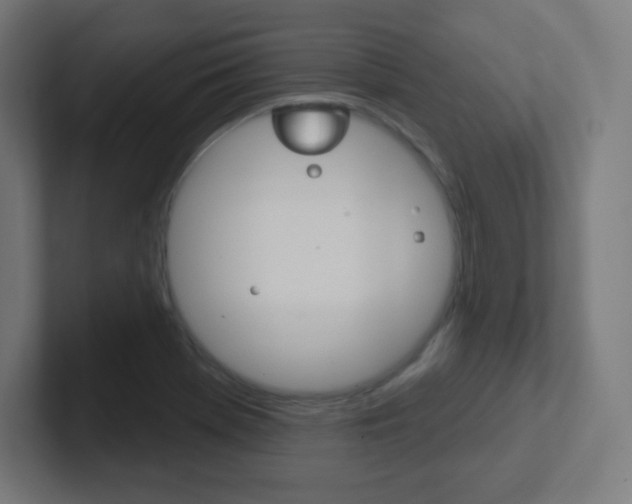 X0000102411369200808011007