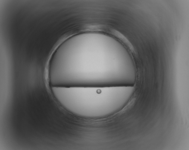 X0000102411370200808011007