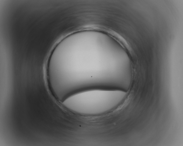 X0000102411373200808011007
