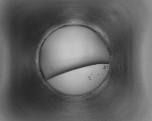 X0000102411374200808011007