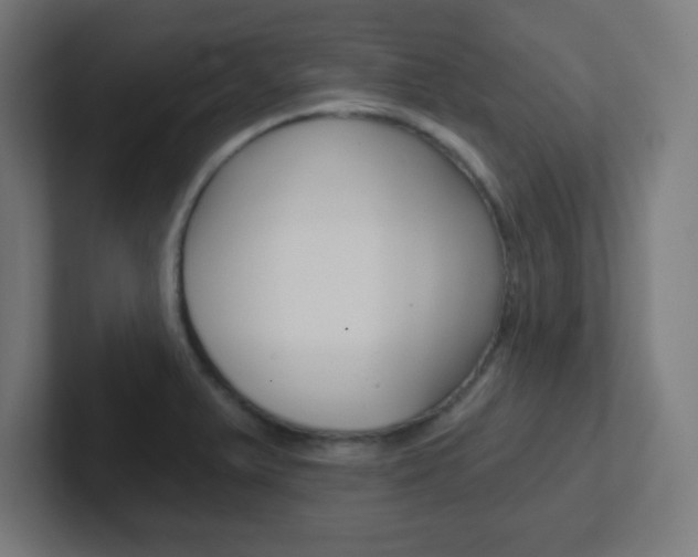 X0000102411375200808011007