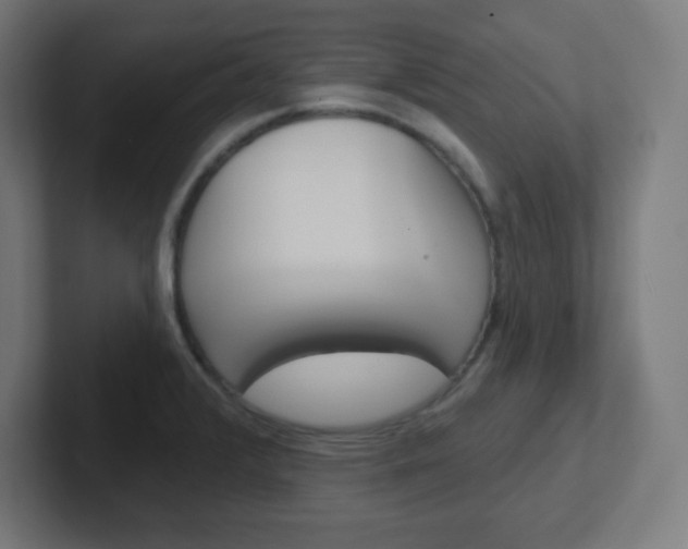 X0000102411376200808011007