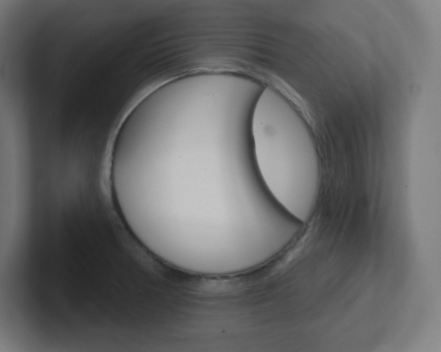 X0000102411378200808011007