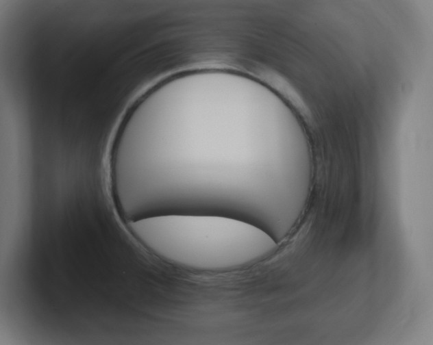 X0000102411380200808011007