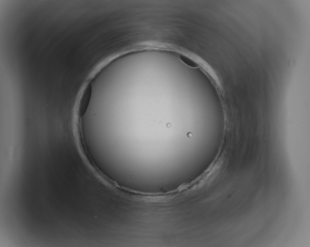 X0000102411381200808011007