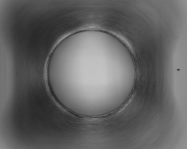 X0000102411382200808011007