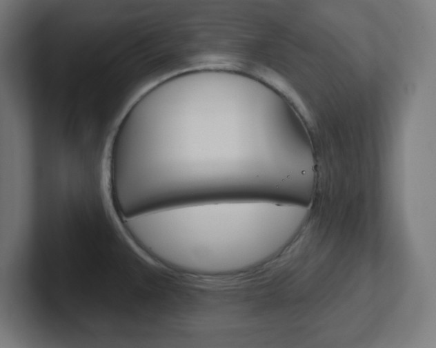 X0000102411383200808011007