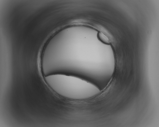X0000102411384200808011007