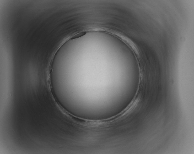 X0000102411385200808011007