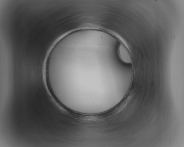 X0000102411387200808011007