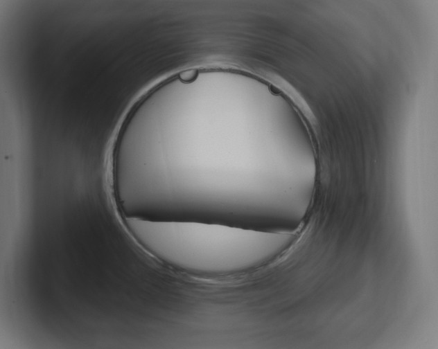 X0000102411388200808011007