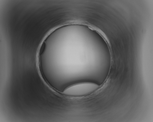 X0000102411389200808011007