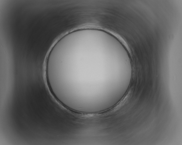 X0000102411390200808011007