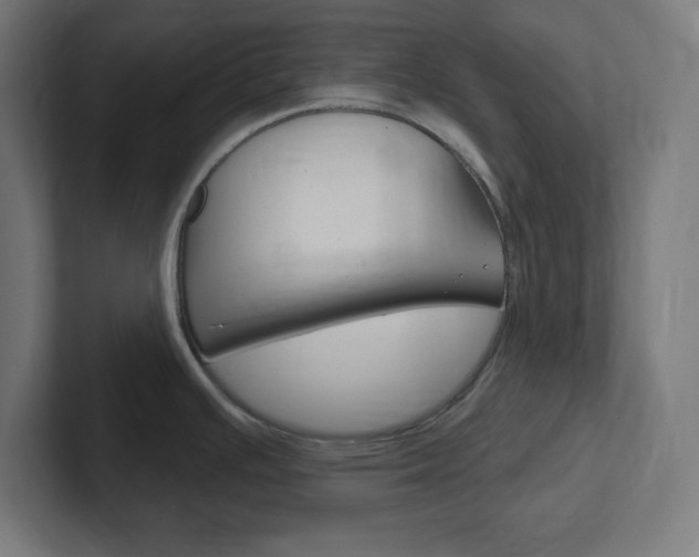 X0000102411391200808011007