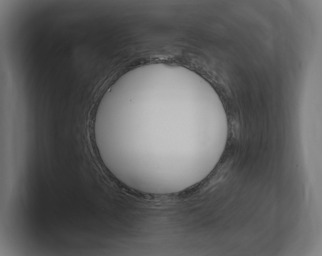 X0000102411393200808011006