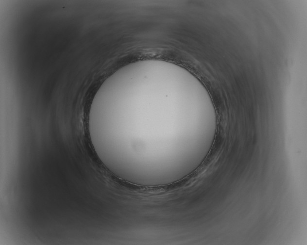X0000102411394200808011006