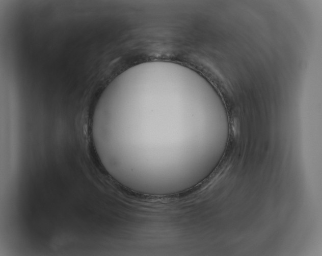 X0000102411396200808011006