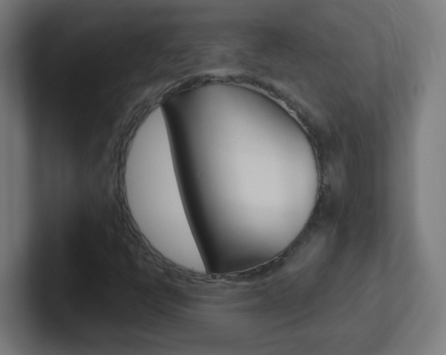 X0000102411398200808011006