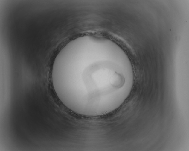 X0000102411399200808011006