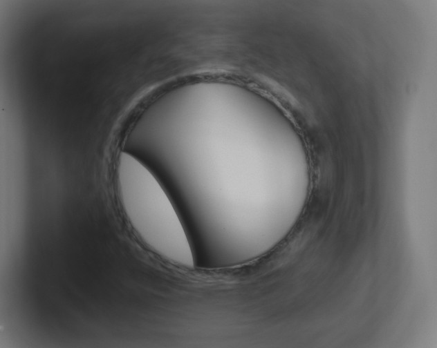 X0000102411400200808011006
