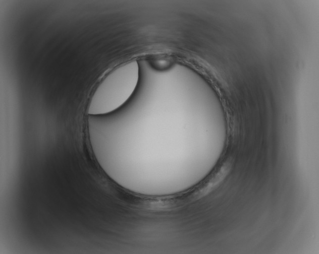 X0000102411401200808011006