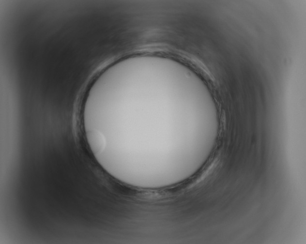 X0000102411405200808011007