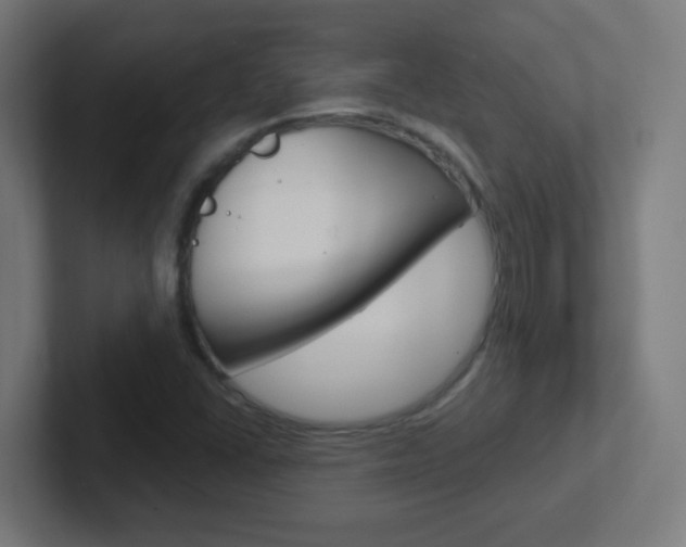 X0000102411406200808011007